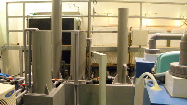 PC200167.JPG