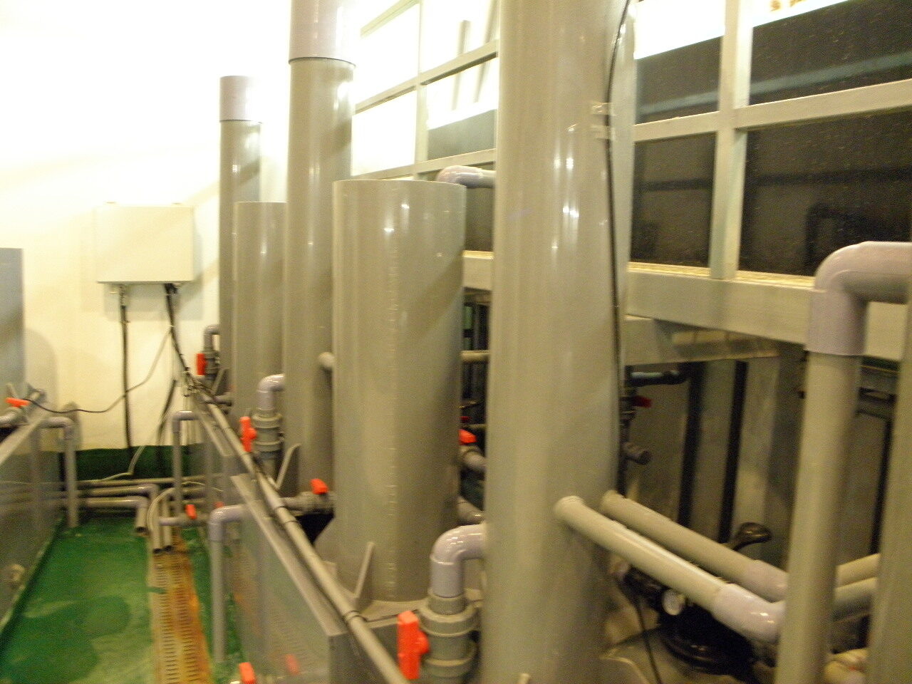 2011년 과천과학관