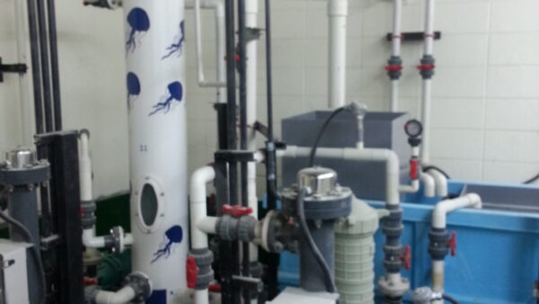 20140322_121257.jpg