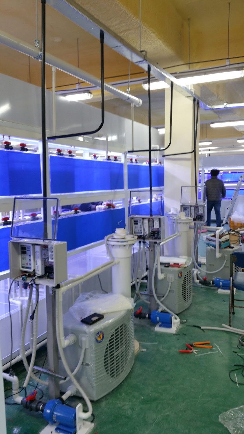 2015년 제주 해수관상어 축양수조