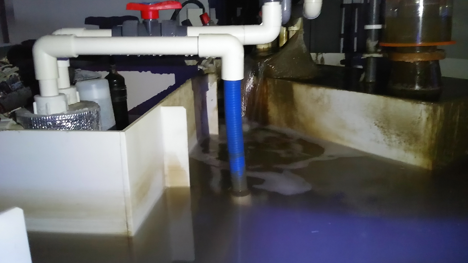 2016년 과천과학관 스키머외 수조