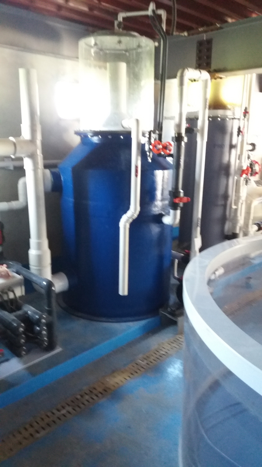 2016년 경포 아쿠아리움 야외 축양장 이동, 납품 및 설치공사