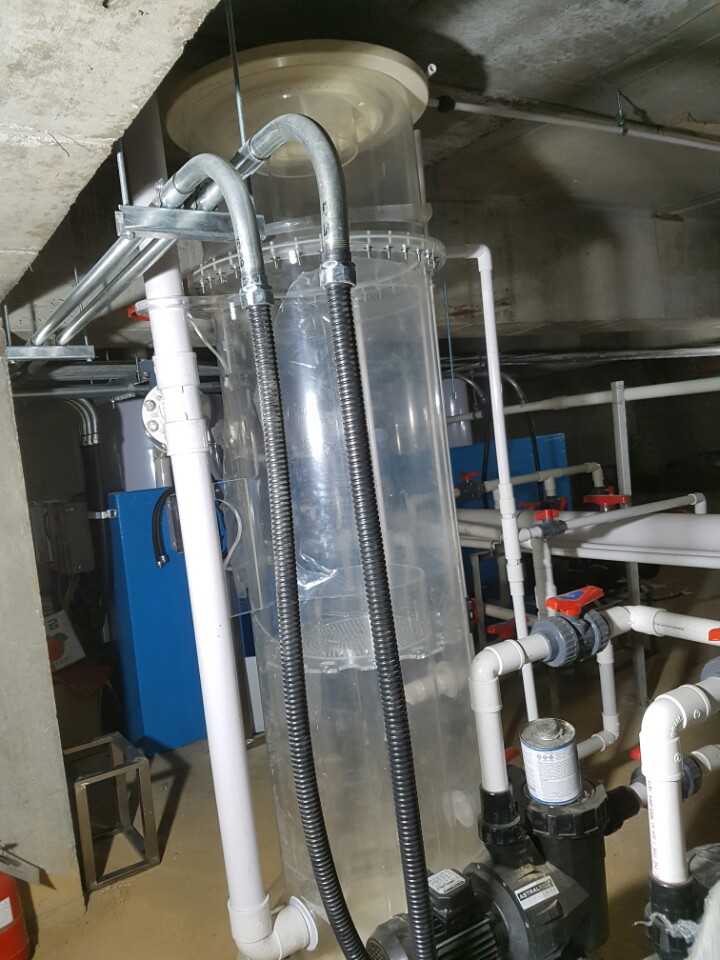 2017년 여수 해양수산 과학관 대형 전시수조