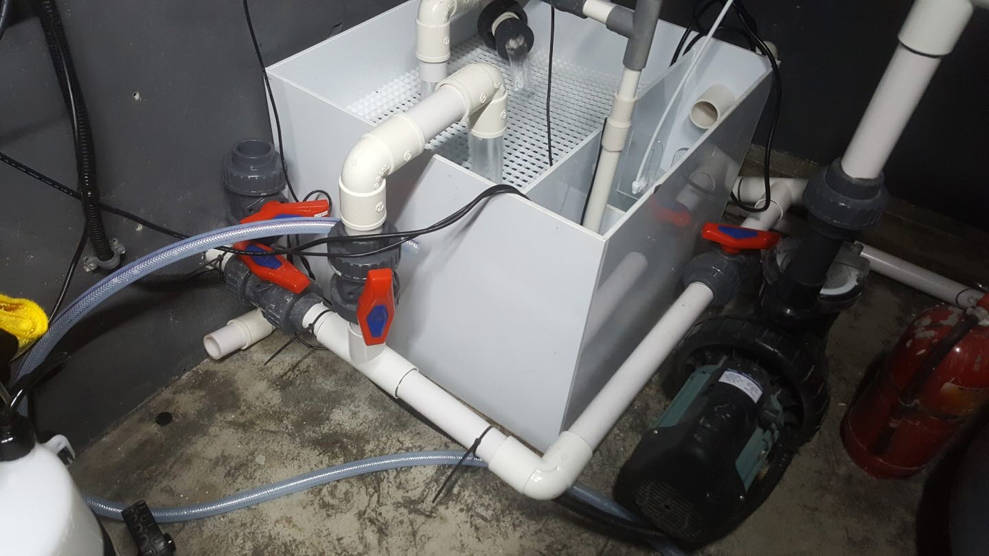 2017년 주렁주렁