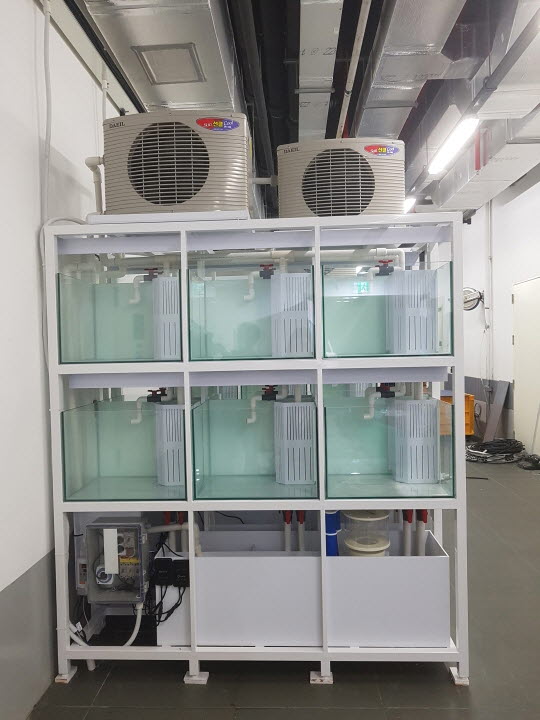 2019년 롯데 아쿠아리움 축양수조 제작설치