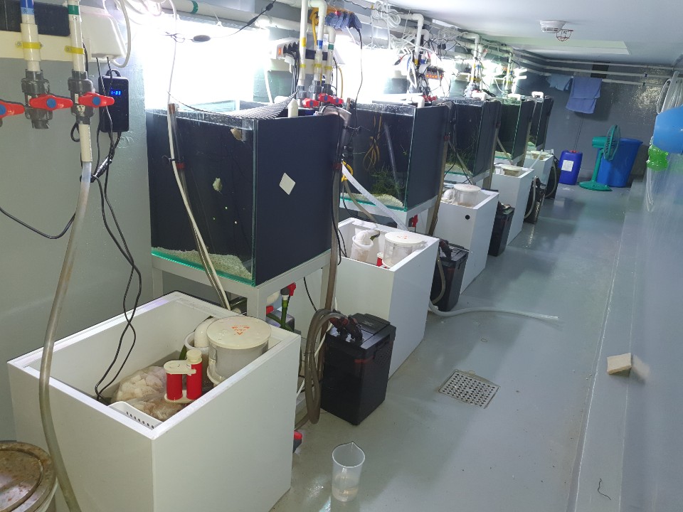 2019년 롯데 아쿠아리움 바다사자존 관람동선 개선공사