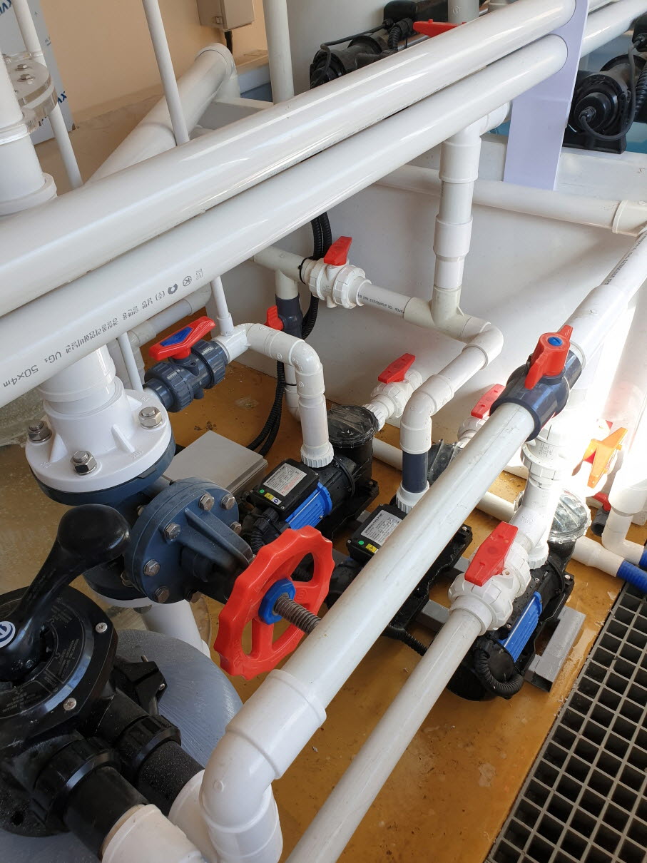 2019년 제주해수관상생물 연구동