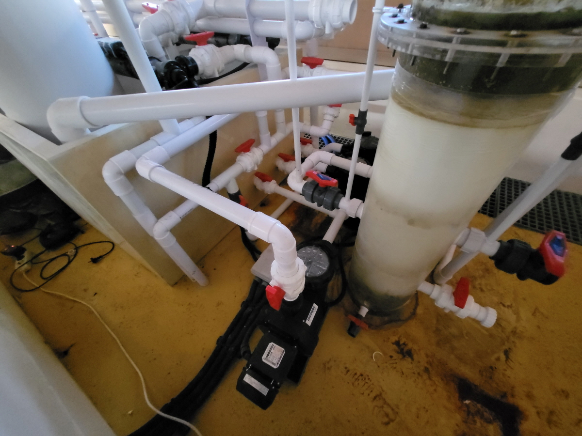 2023년 제주도 해양수산연구원 펌프 설치 및 배관수정작업