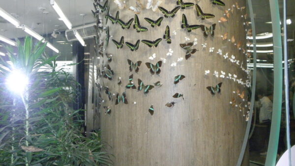 PC300380.JPG