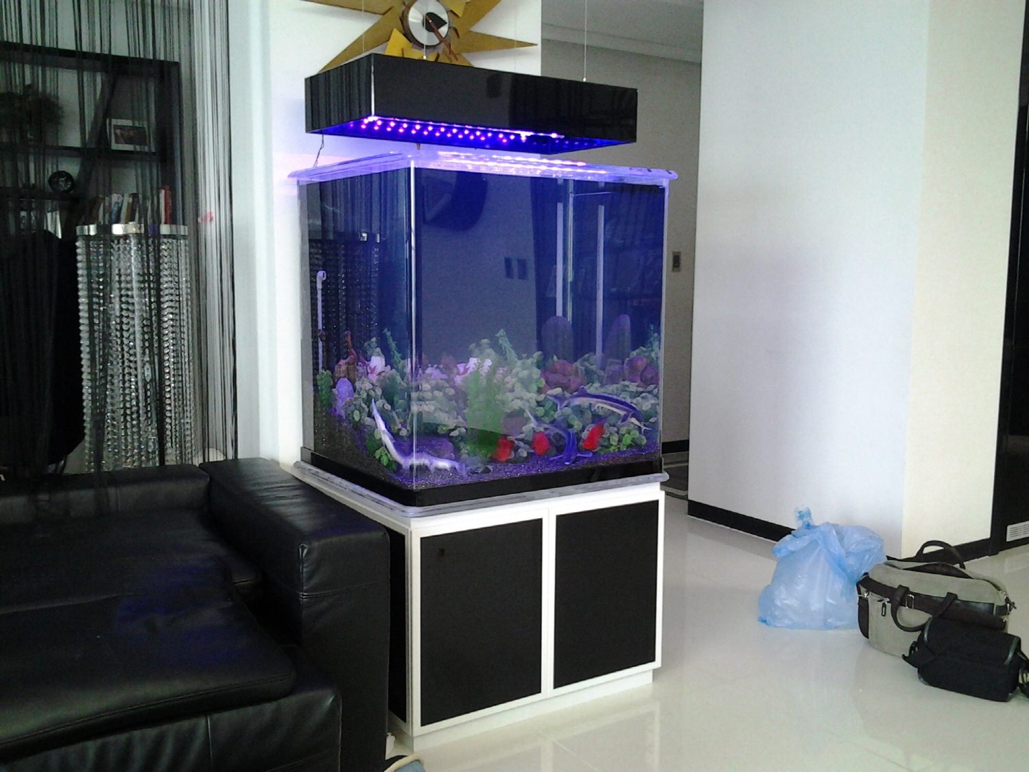 2011년 12월 롯데월드