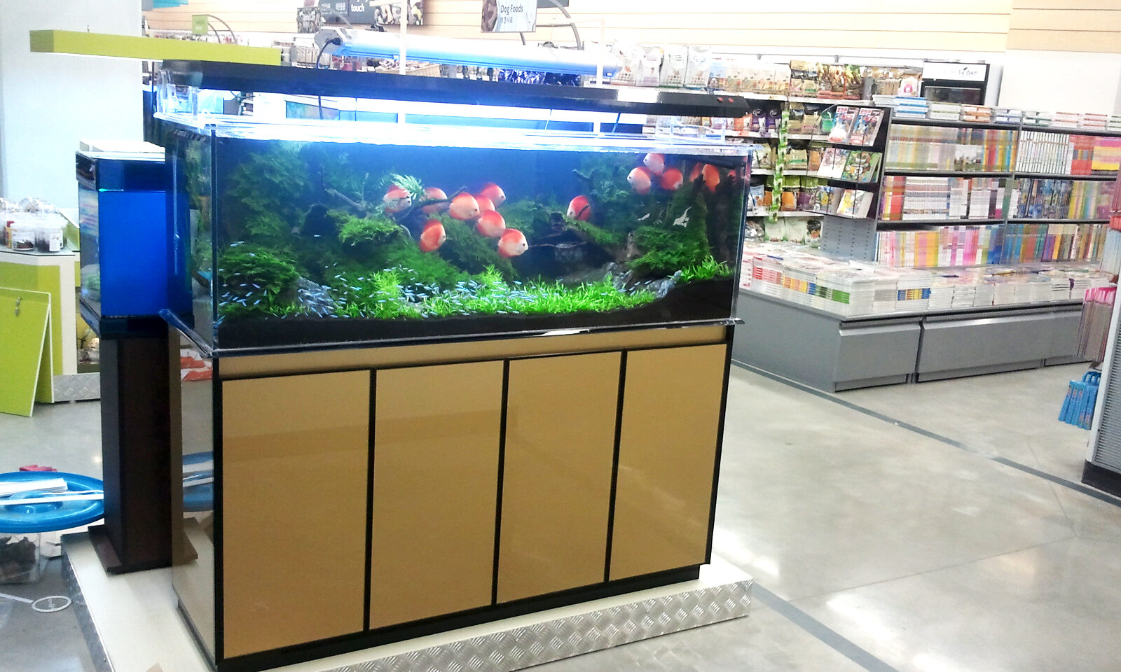 2012년 이마트 하월곡