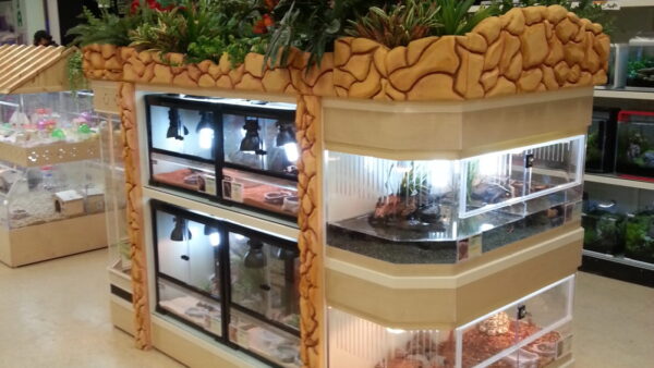 동수원_아이러브_팻20121205_053650.jpg