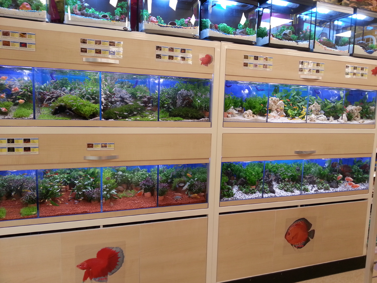 2012년 동수원 아이러브 펫