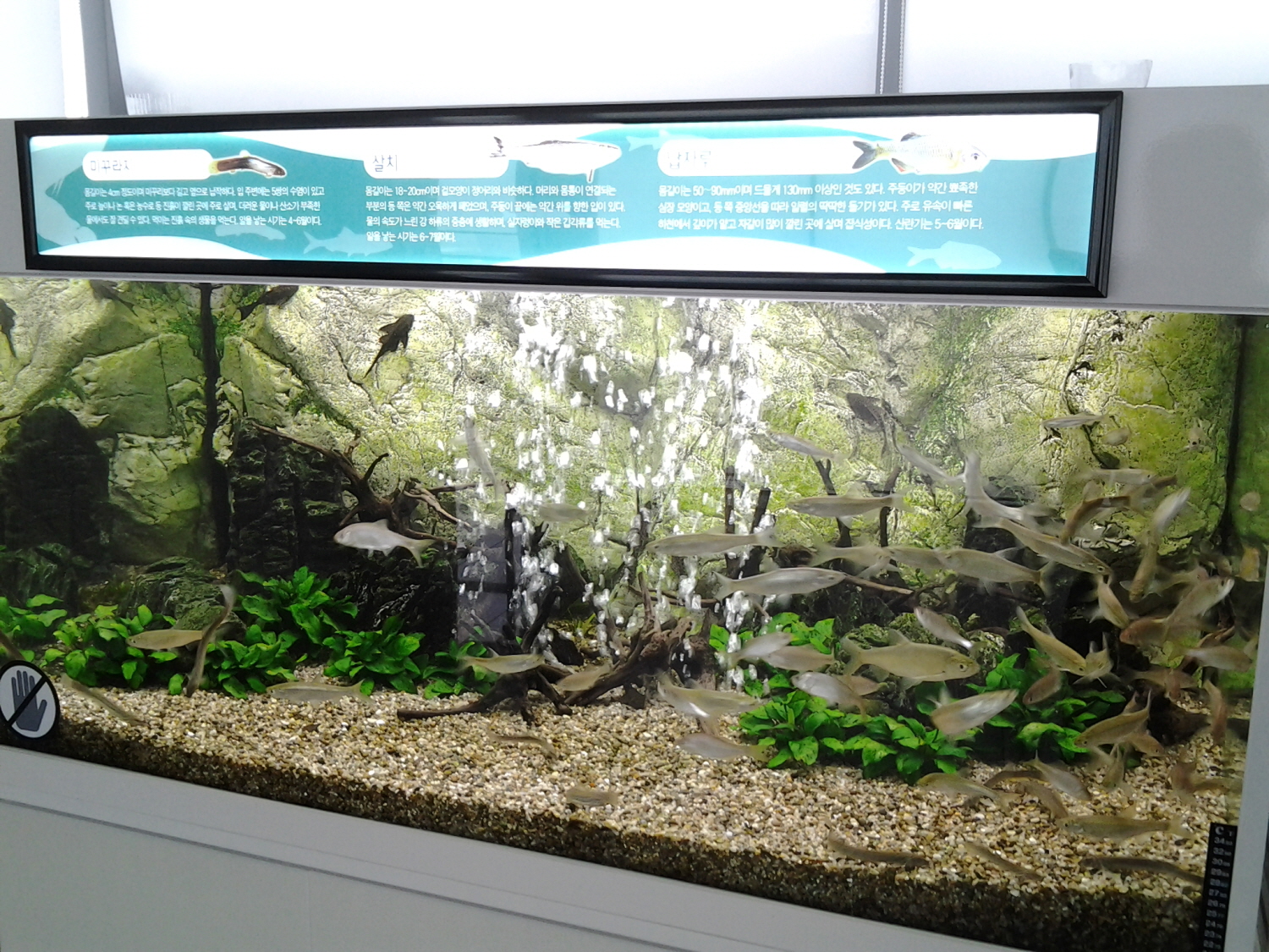 2012년 의왕시 조류생태과학관 수조