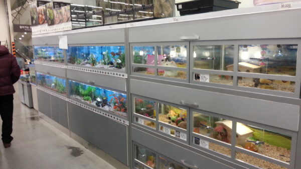 A_A20130102_184737.jpg