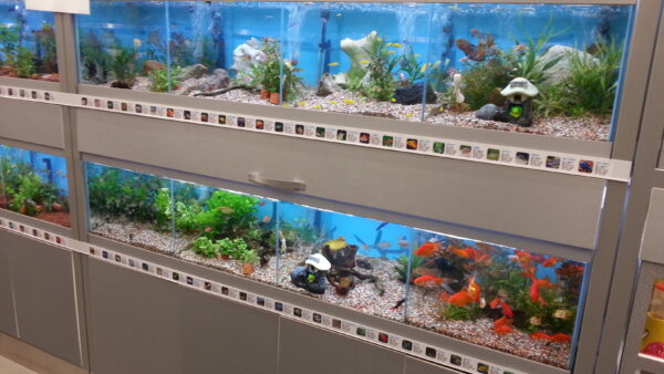 A_A20130102_184801.jpg