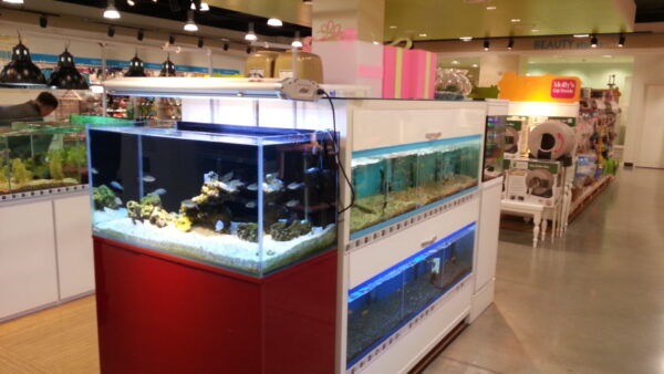 A_A20130102_193914.jpg