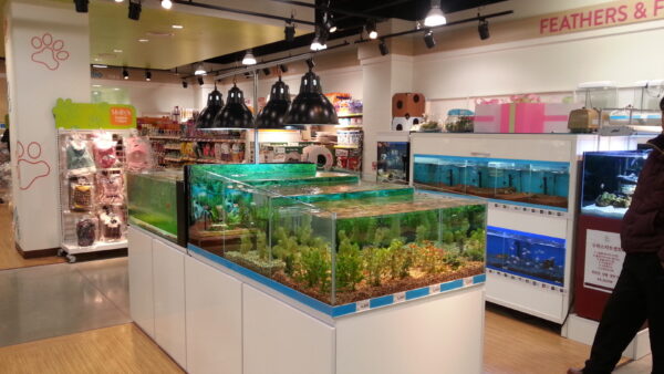 A_A20130102_194025.jpg