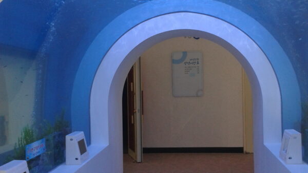 A_A2013-02-27-09.51.57.jpg