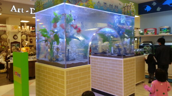 A_A20130429_192628.jpg
