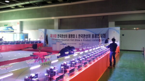A_A20131107_152823.jpg