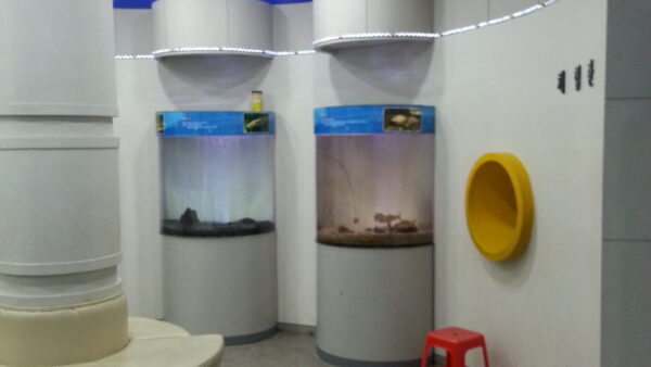20140325_191345.jpg