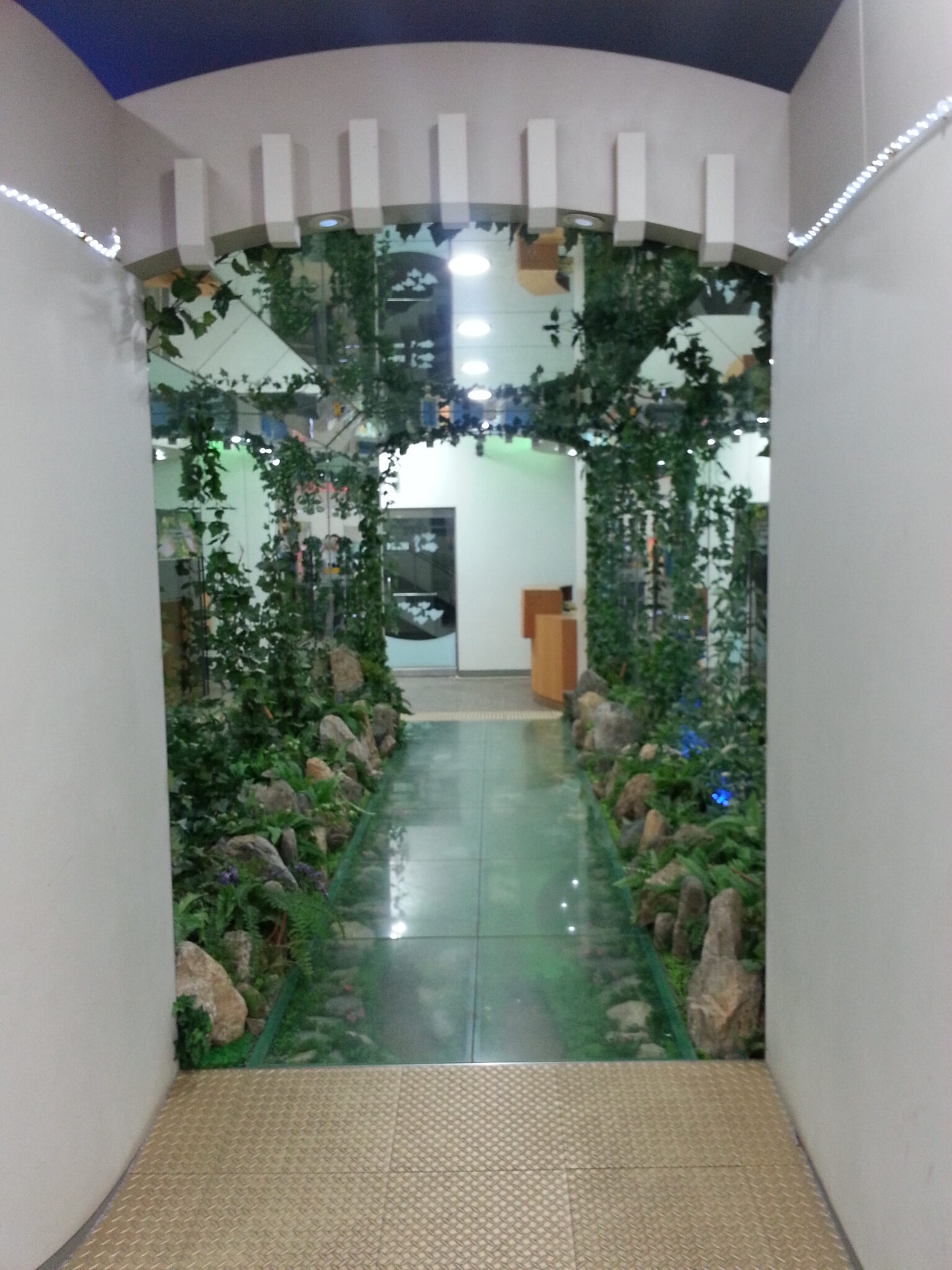 2014년 삼척시 민물 생태관