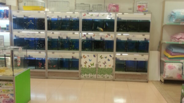 20140523_174824.jpg