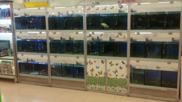 20140523_174904.jpg