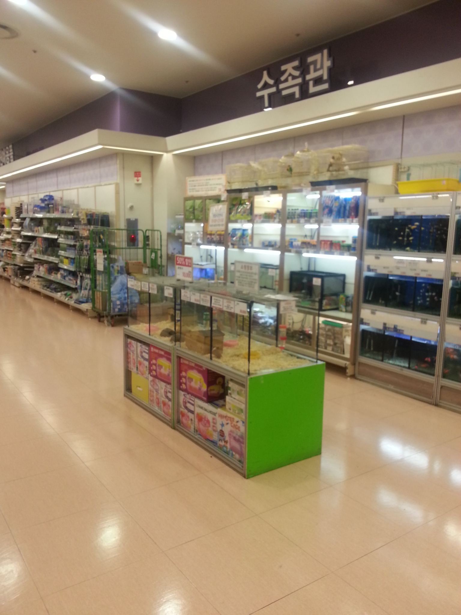 2014년 롯데마트 부평점