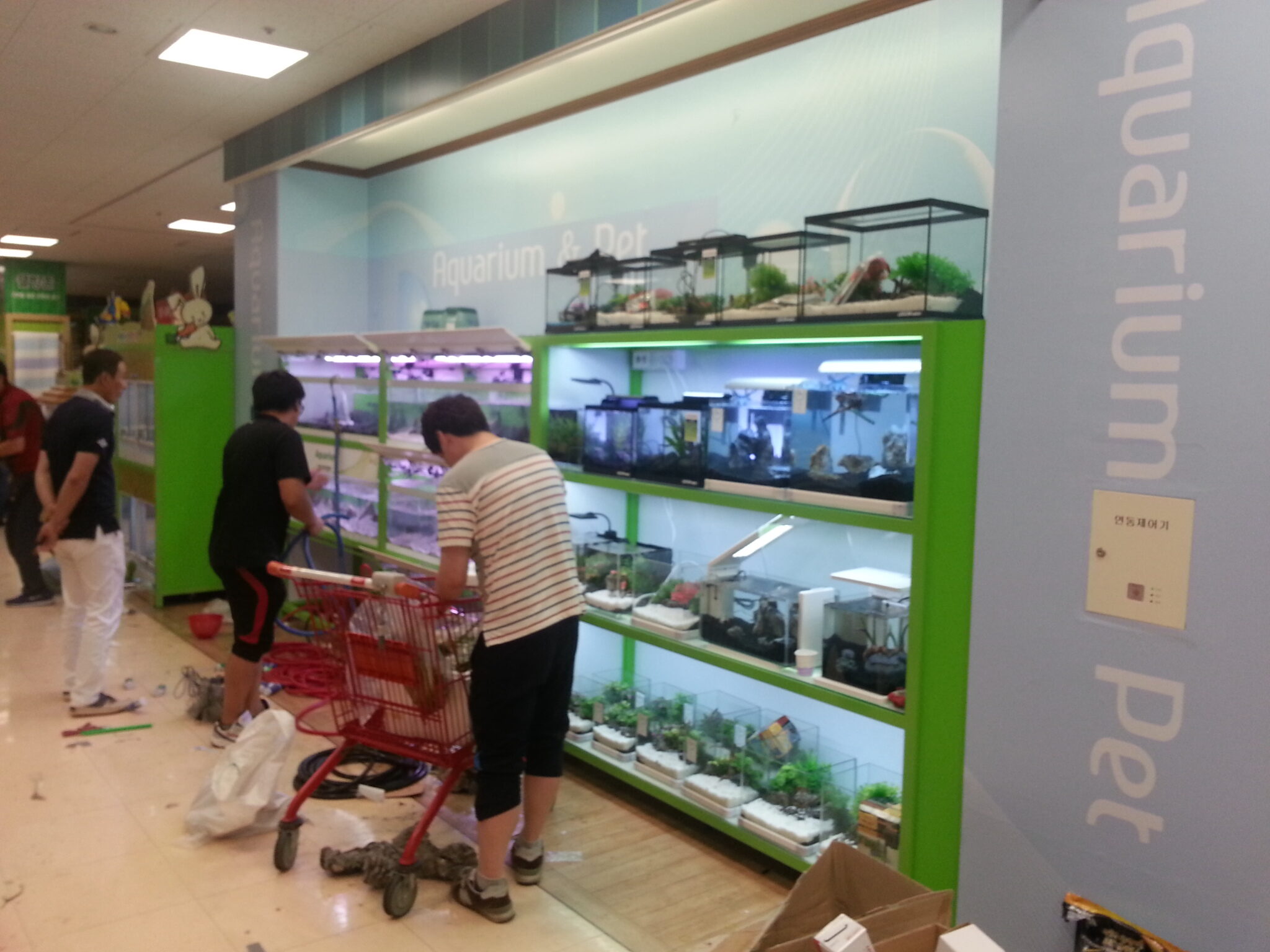 2014년 롯데마트 평택, 장암, 중계점