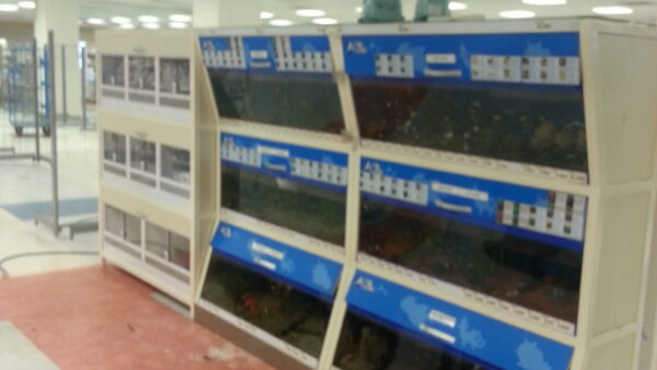 20140613_024641.jpg