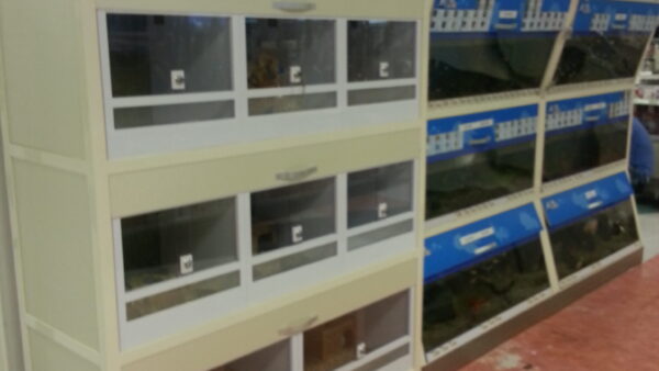 20140613_024734.jpg