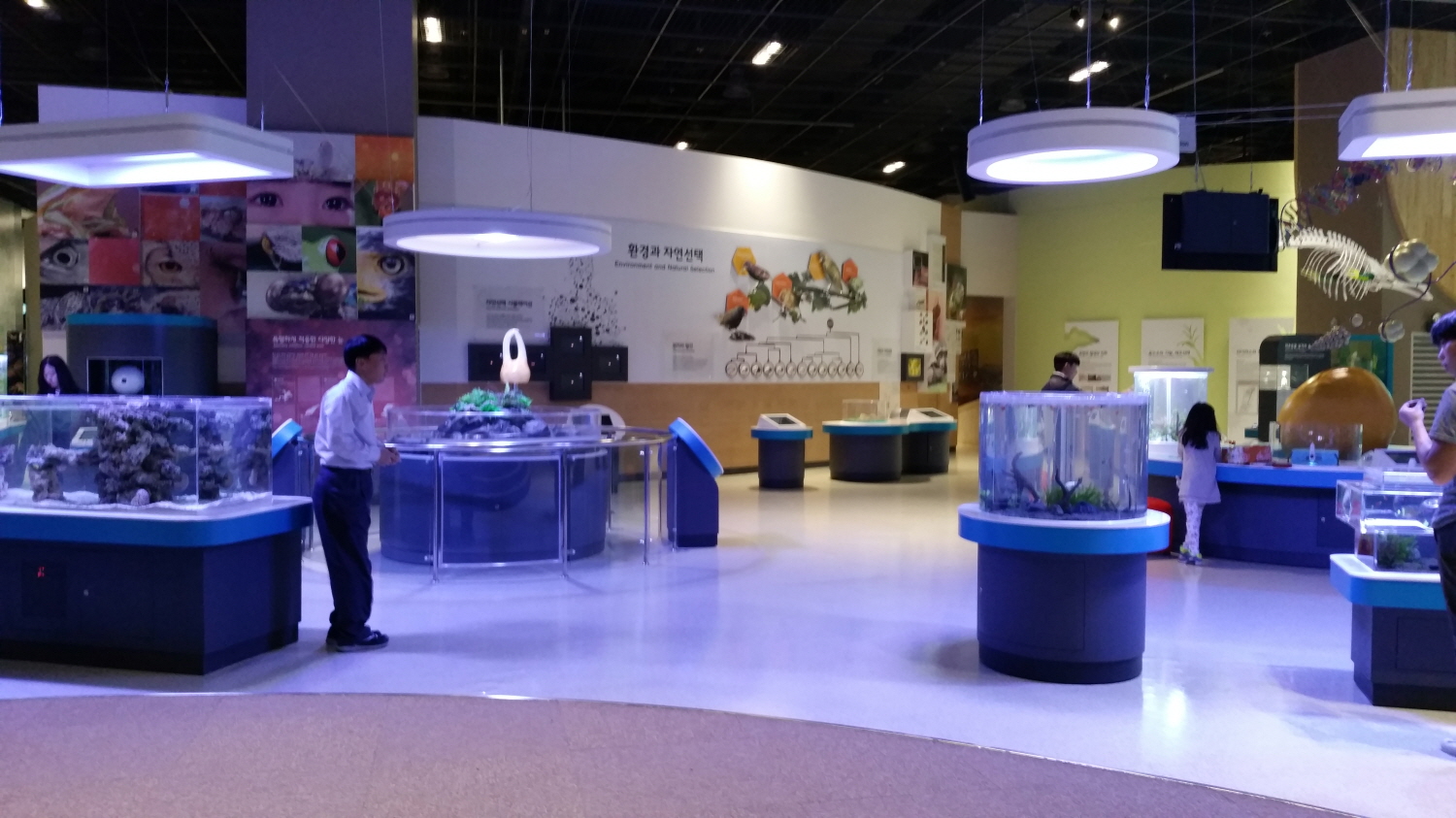 2015년 과천과학관 라이브진화센터