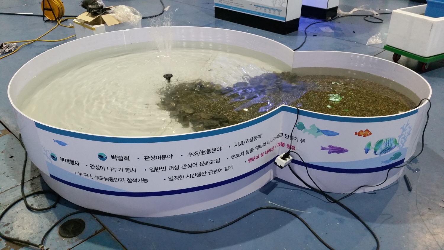 2015년 한국관상어 품평회 및 전시회