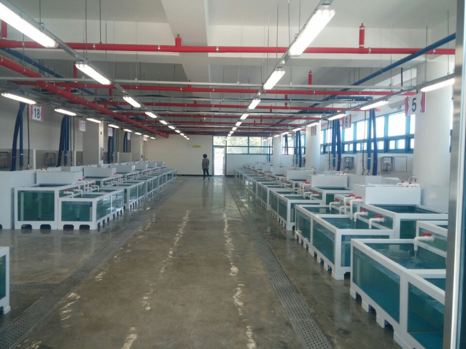 2016년 울릉도 저동항 오징어회센터