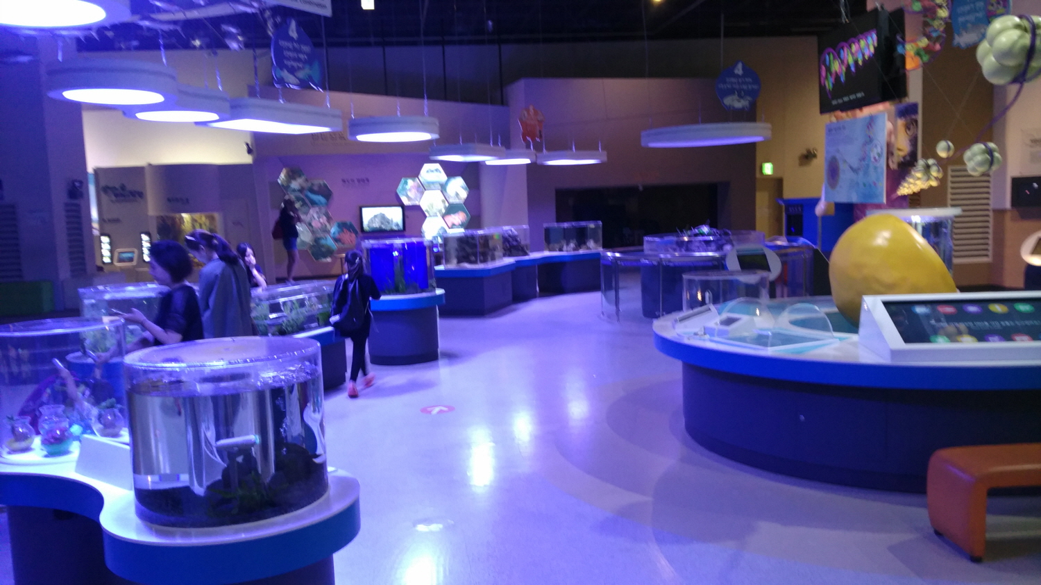 2016년 과천과학관 스키머와 수조