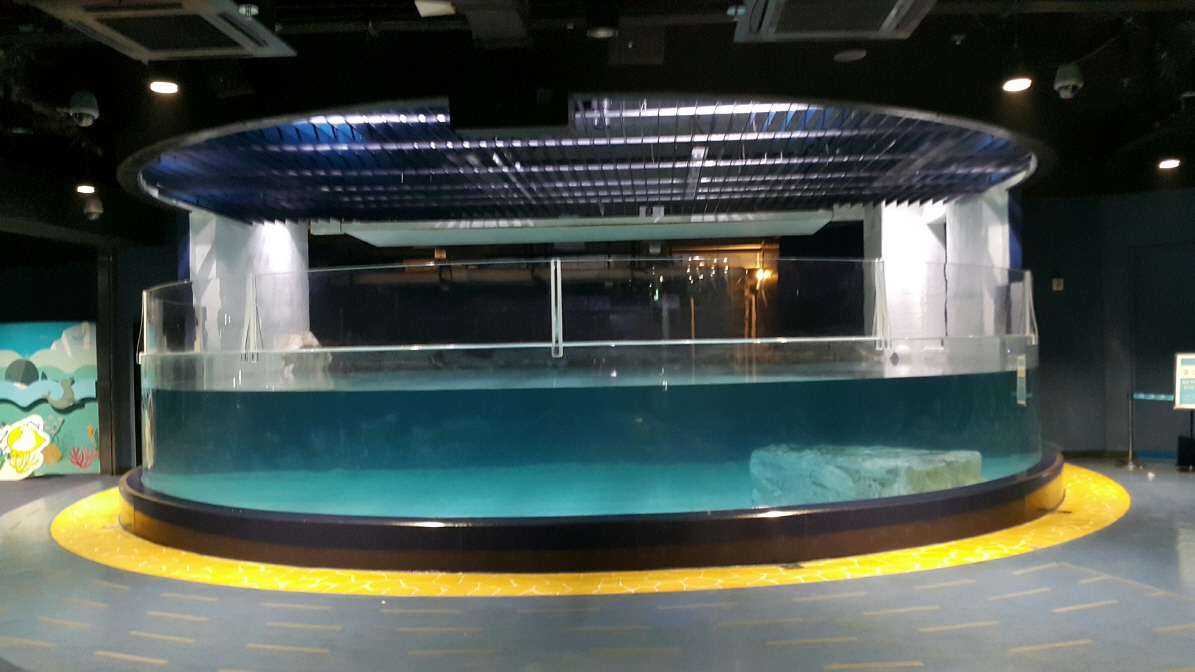 2016년 롯데아쿠아리움 바다사자, 벨루가 수조 아크릴 보강공시