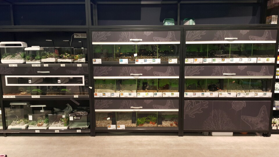 2017년 롯데마트 부평점