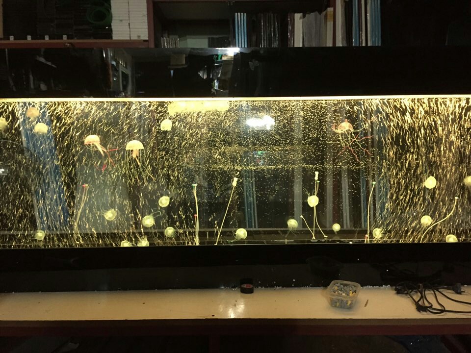 2017년 서울블루오션해파리 수조