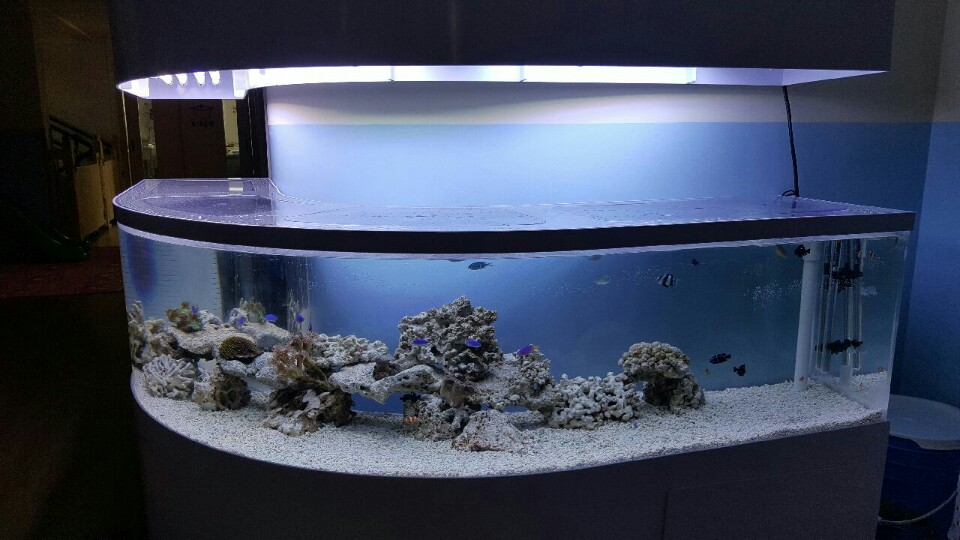 2017년 제주어린이집