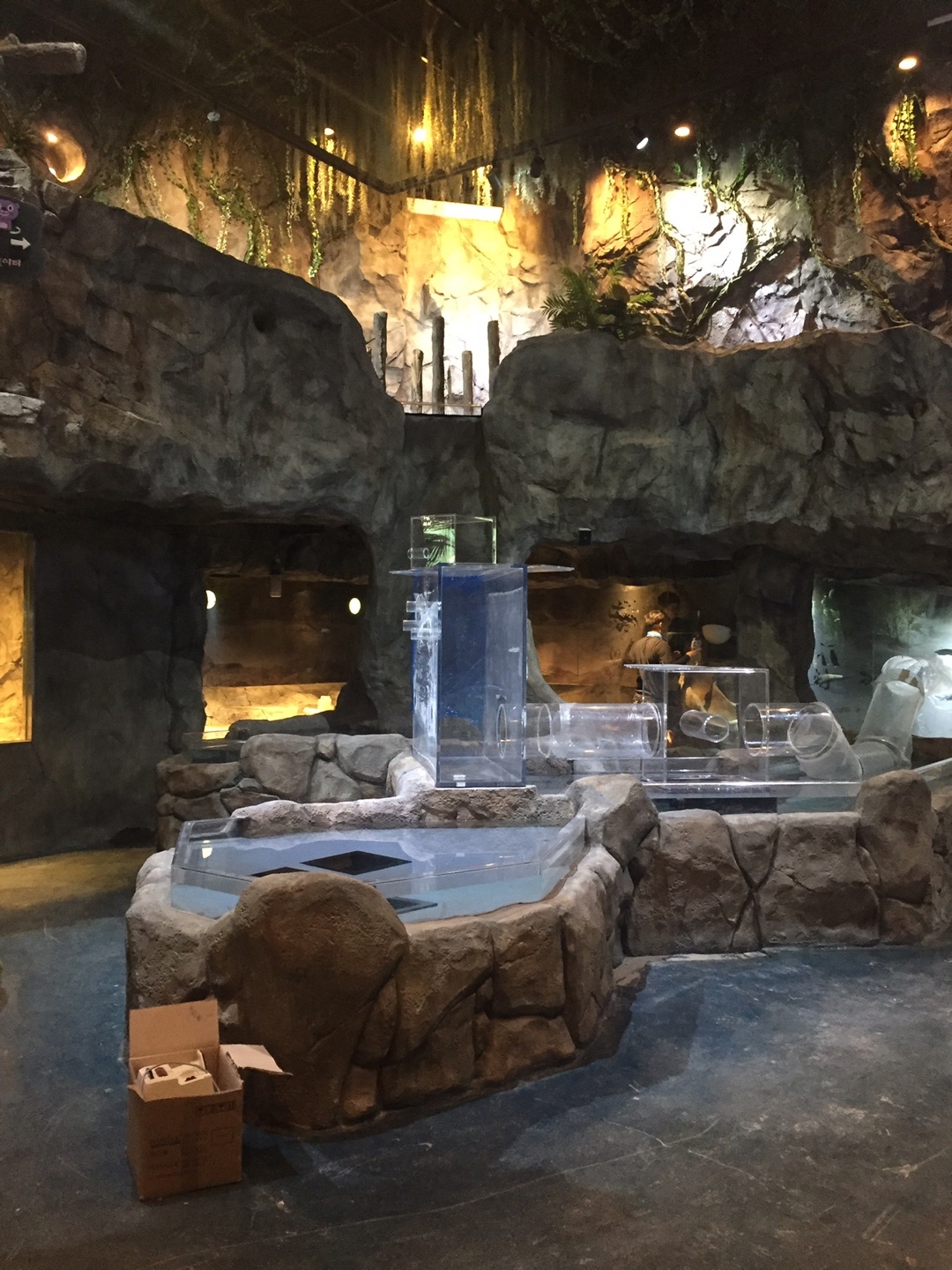 2017년 주렁주렁