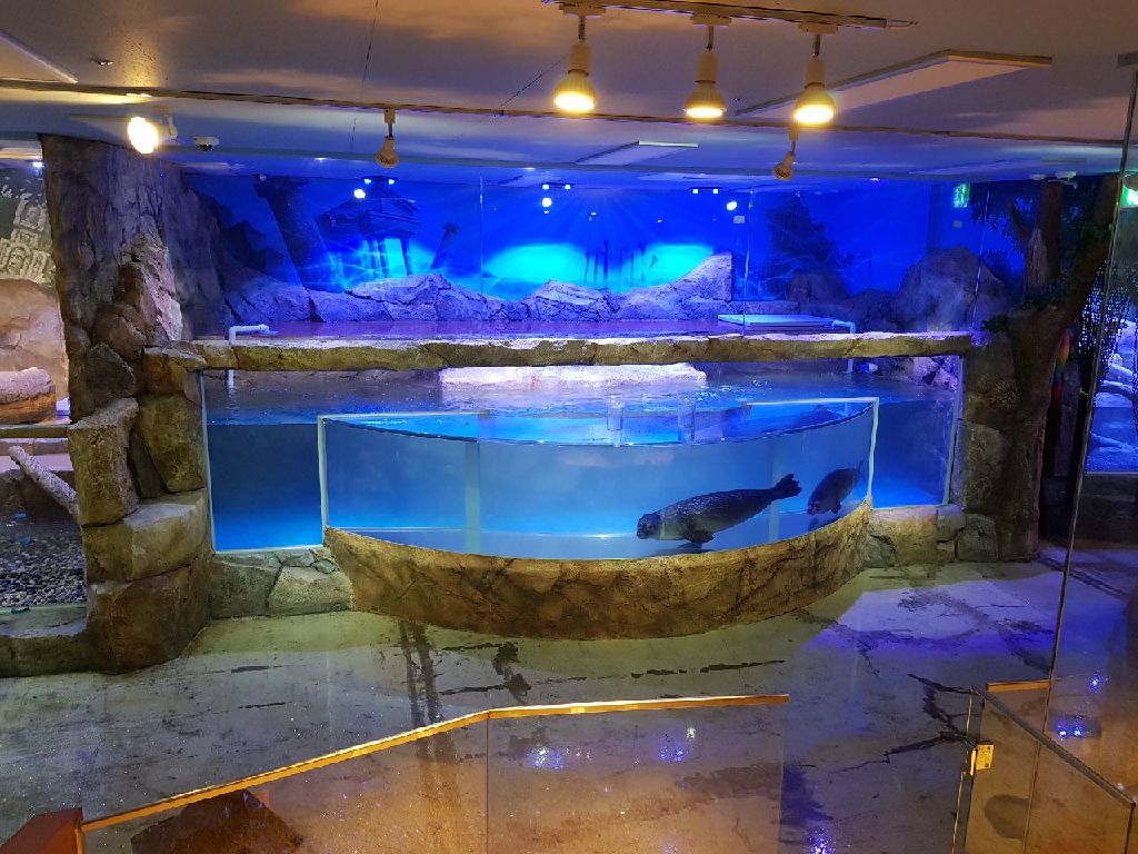 2018년 아르티스 테마파크