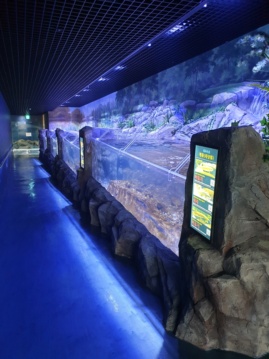 2018년 섬진강 어류새태관 전시시설 확충공사