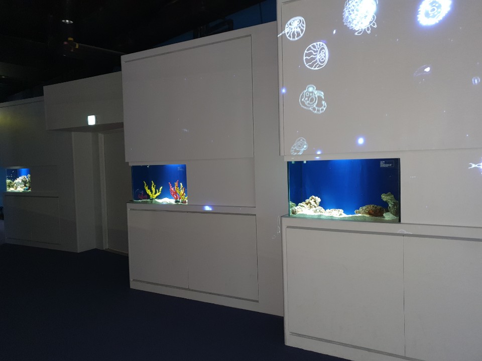 2019년 롯데 아쿠아리움 바다사자존 관람동선 개선공사