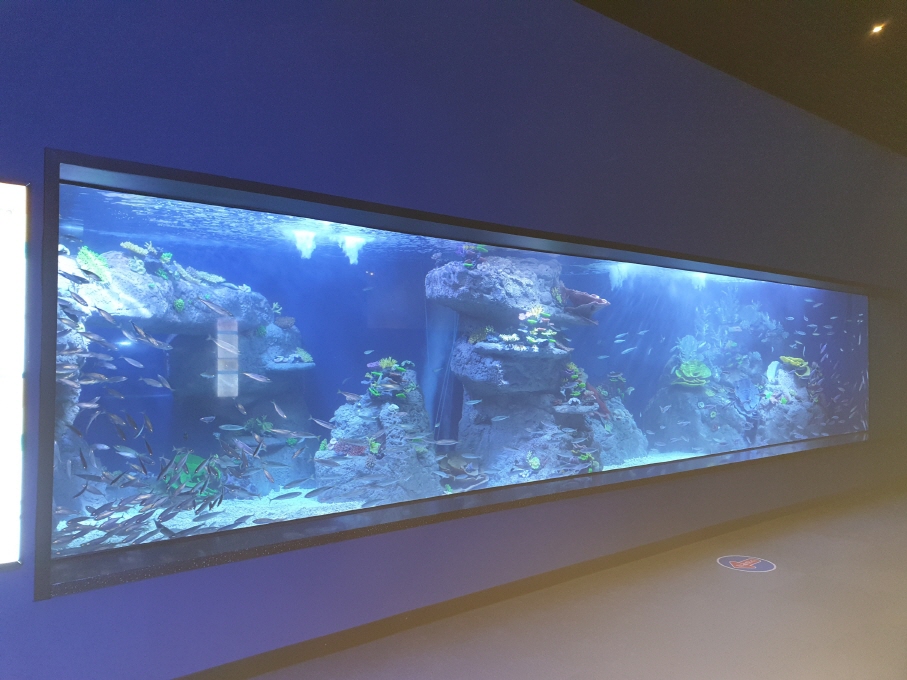 2019년 여수 해양수산과학관 전시시설 확충공사