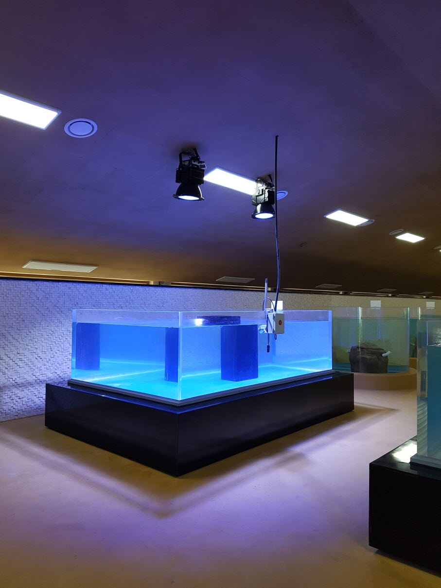 2019년 제주해수관상생물 연구동