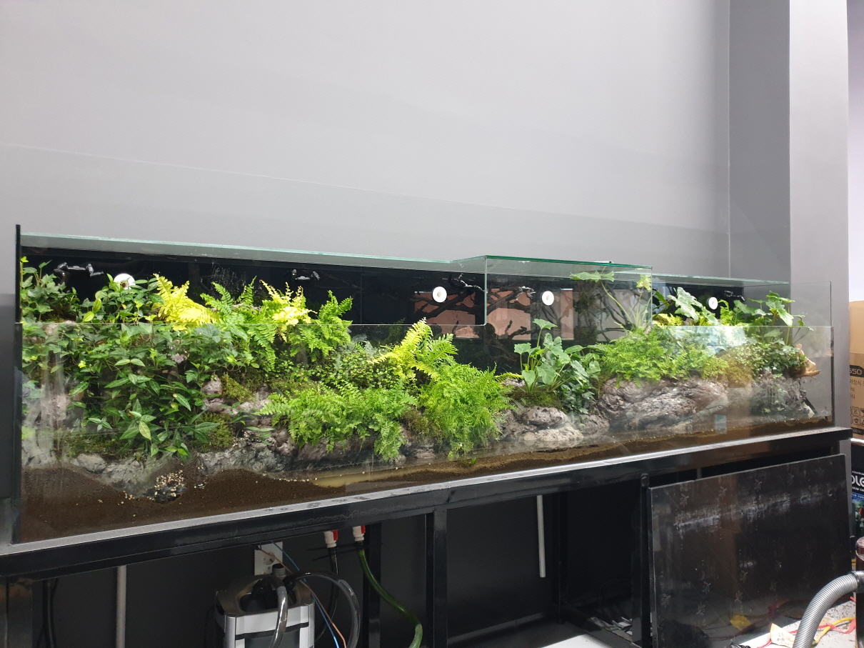 2020년 남원백두대간 생물테마 전시체험관