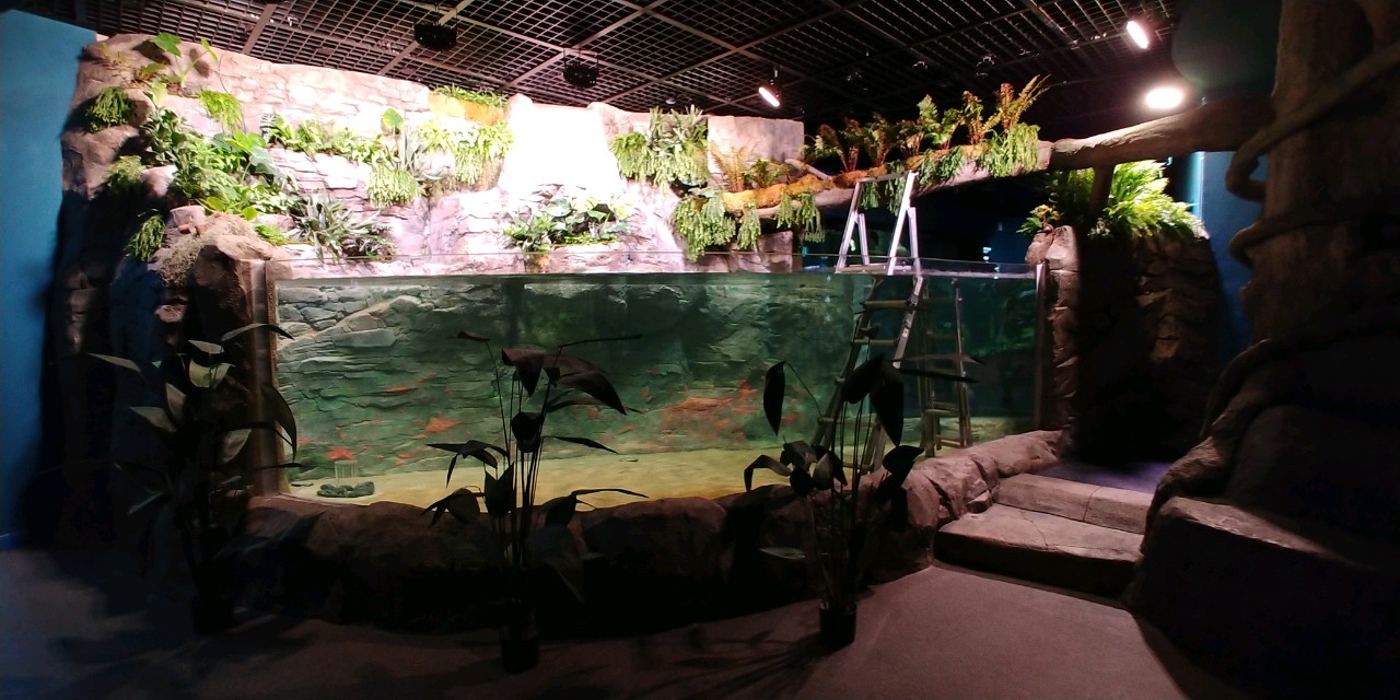 2020년 단양 다누리 아쿠아리움 전시시설 확충공사