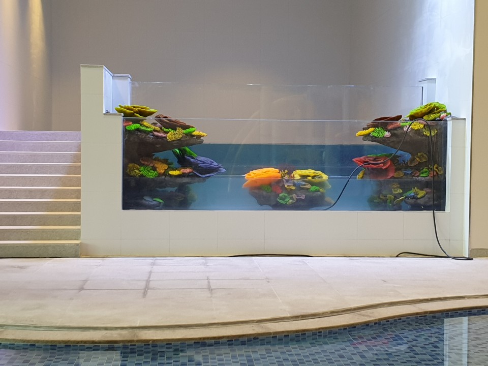 2020년 안성 피쉬풀